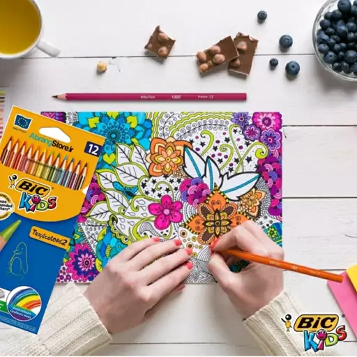 مدادرنگی 12رنگ bic فرانسه